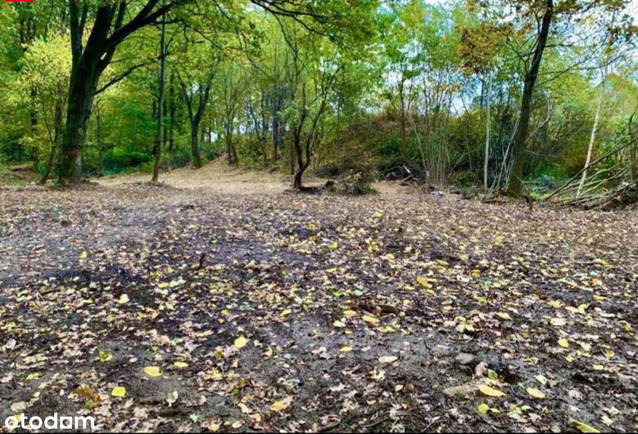 Działka budowlana 1819 m² w Żorach – Osiny - Bez pośredników - Pełny obrazek: 1/3