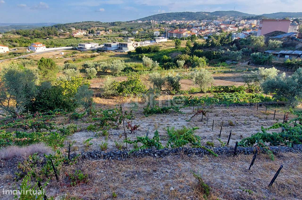 Quinta na Portelinha - Moimenta Da Beira - Grande imagem: 2/17