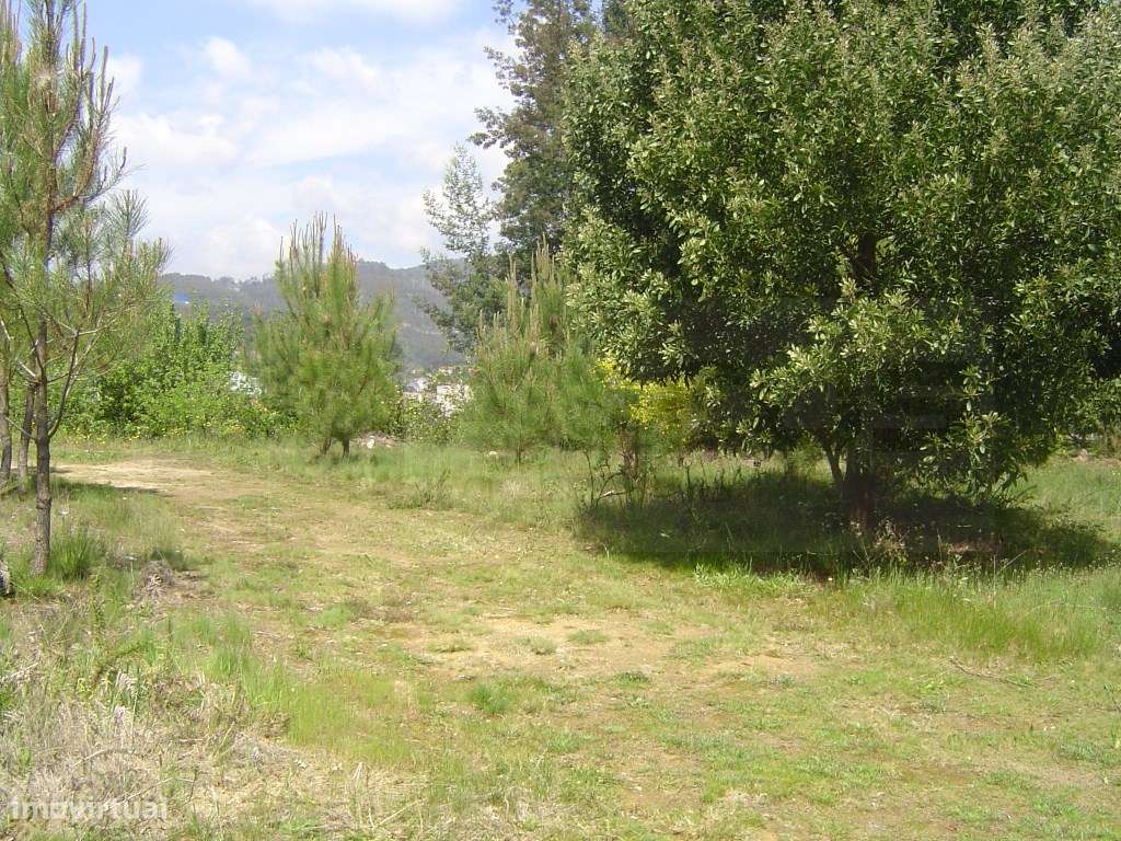 Quinta / Terreno para construção - Sever do Vouga - Grande imagem: 3/5