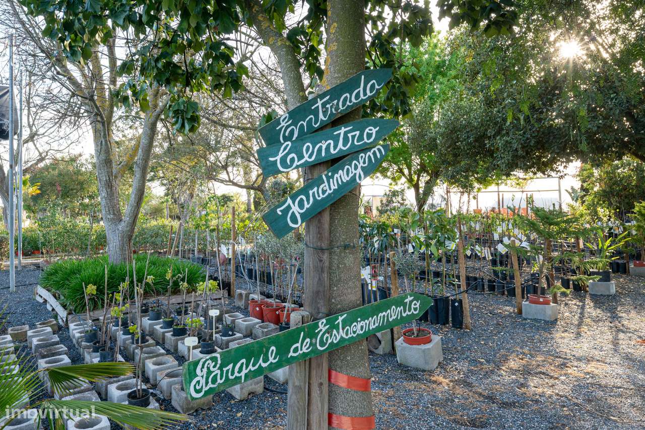 Trespasse de Centro de Jardinagem – Negócio Completo e Equipado - Beja-11