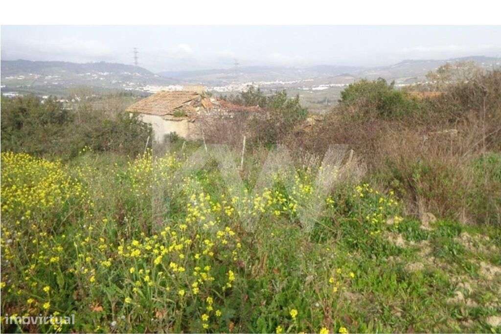 Terreno para Venda em Arruda dos Vinhos - Grande imagem: 4/13