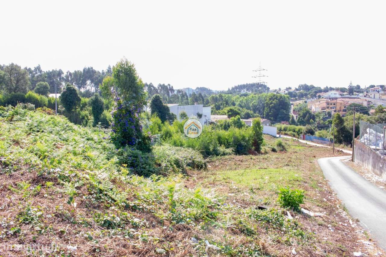 Terreno para Venda em São Paio de Oleiros – Oportunidade de Investimen - Grande imagem: 2/12