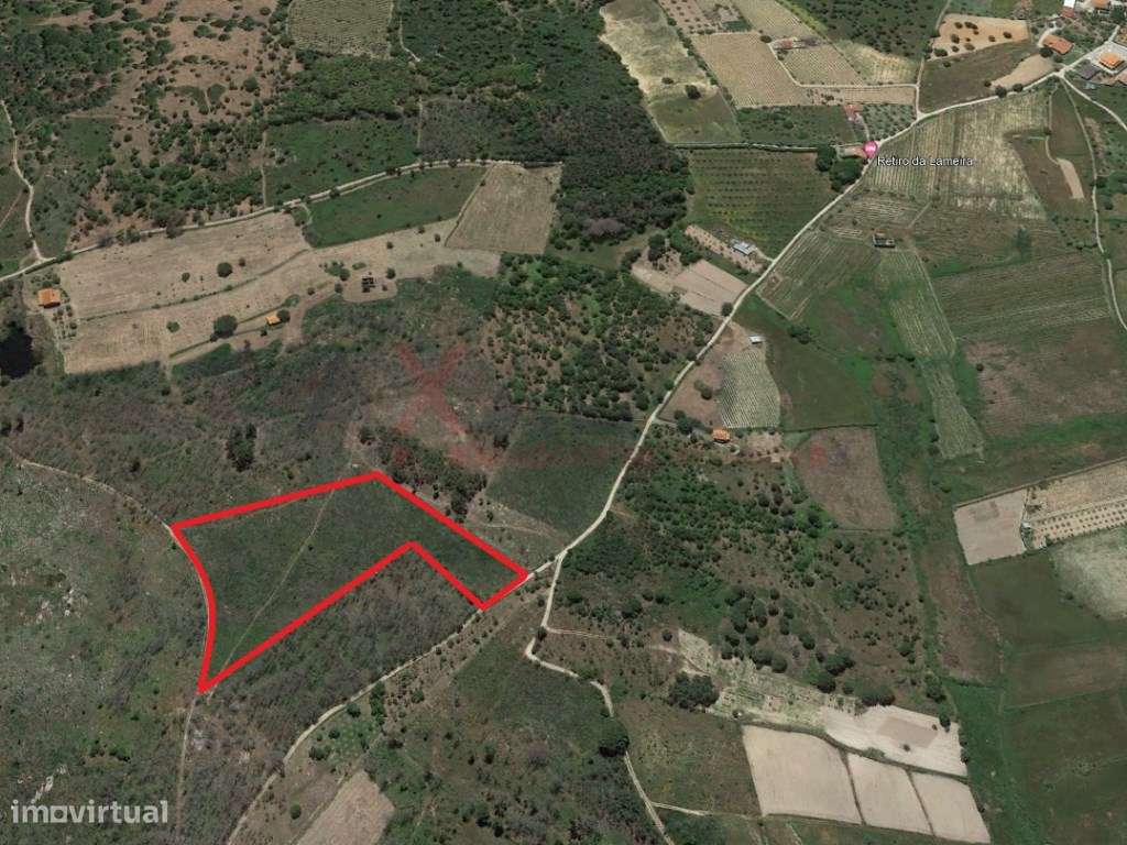 Terreno Rústico - Grande imagem: 3/3