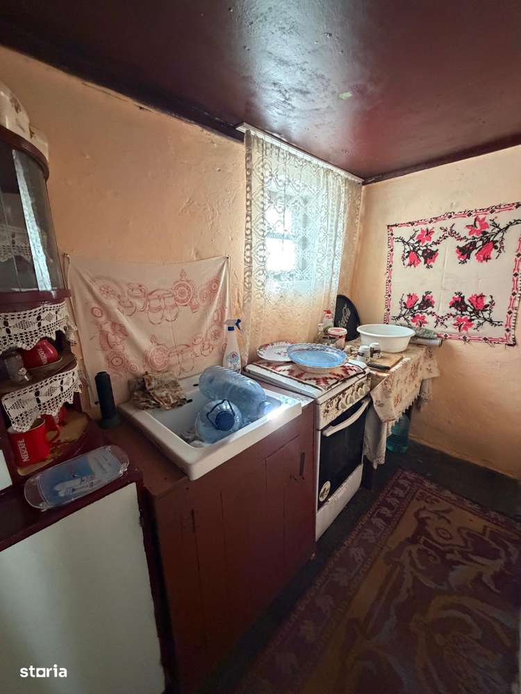 Comision 0% I Casa individuala I Teren de 3252 mp I Arghis-11