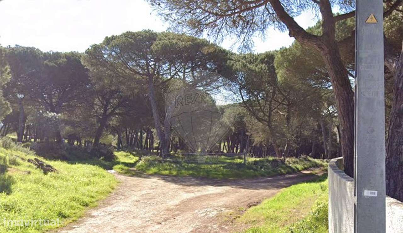 Terreno  para venda - Grande imagem: 2/3