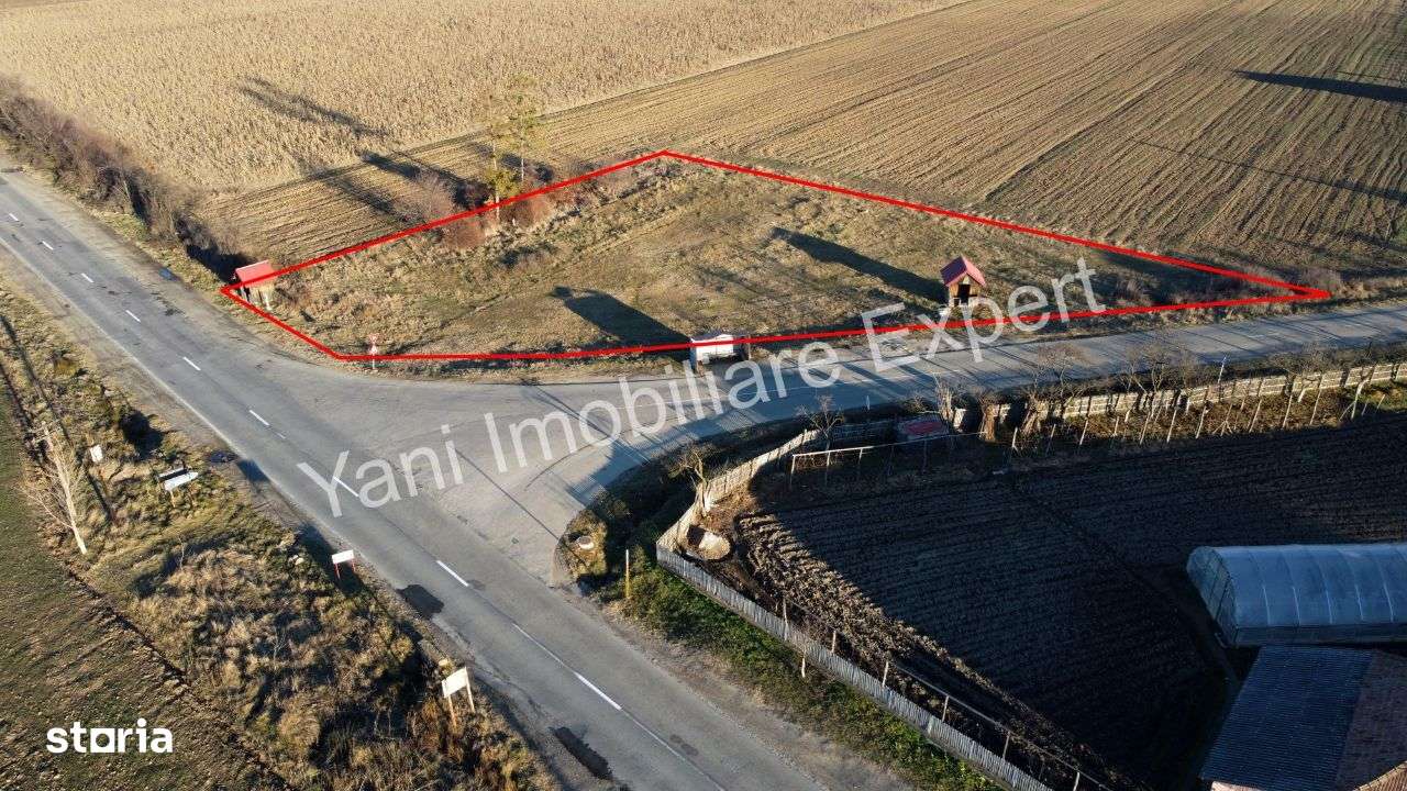 Teren de închiriat în comuna Ciofrângeni, Județ Argeș ( 3800 mp ) - Imagine principală: 4/14