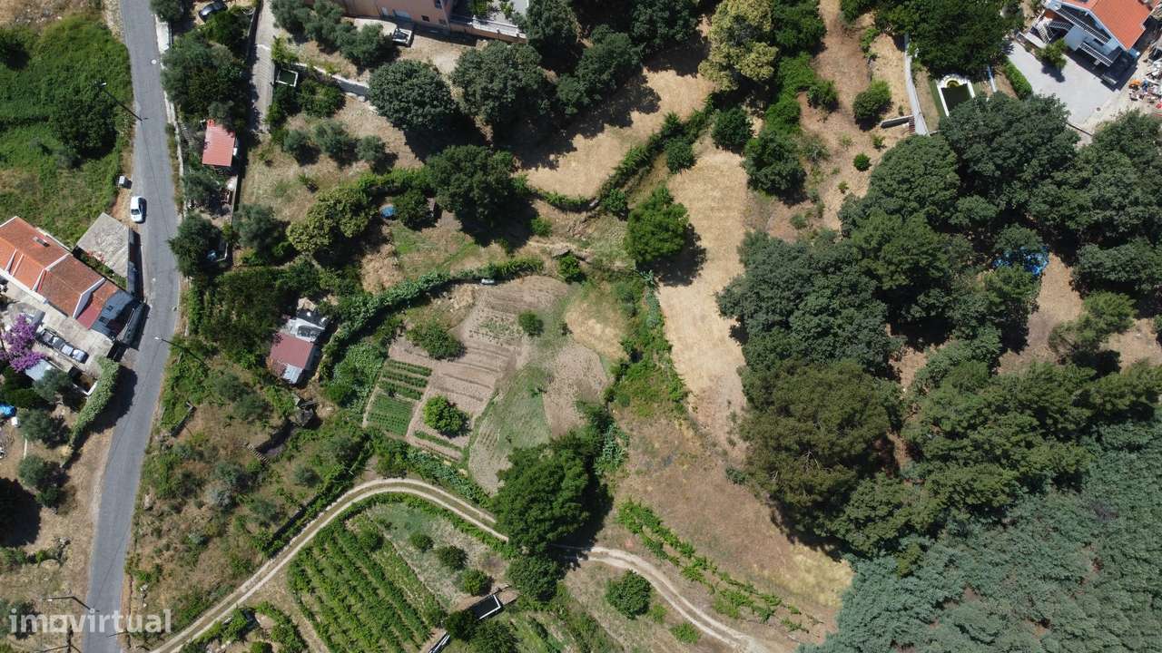 Terreno com 4.522 m² e Viabilidade de Construção - Vila do Carvalho-4