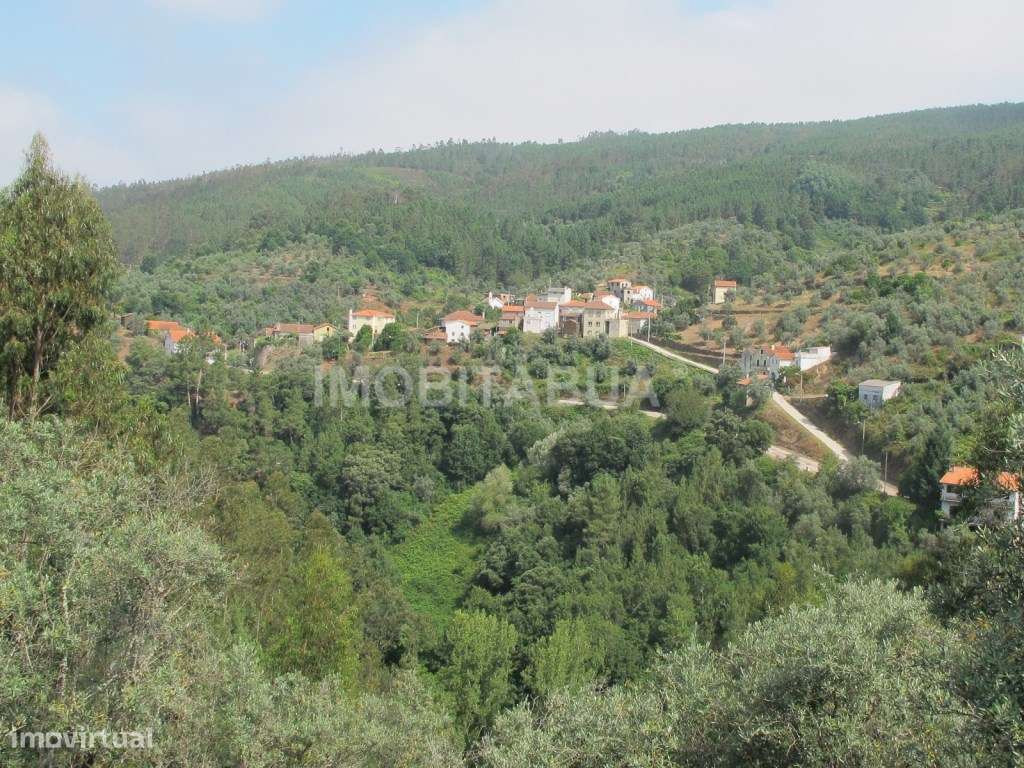 Casa em Xisto em Celavisa, Arganil - Grande imagem: 4/4