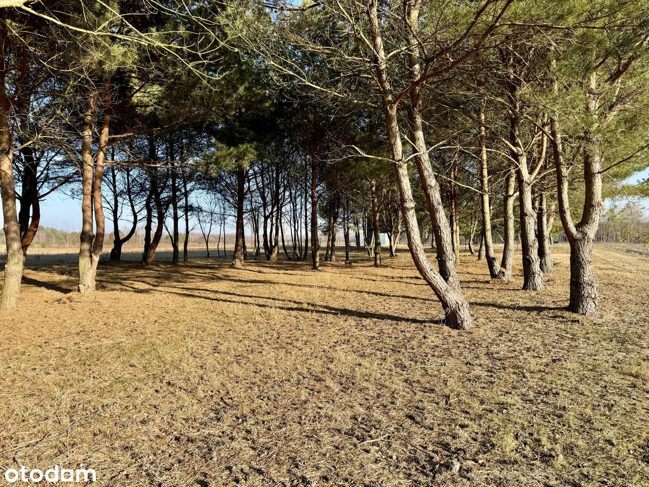 Działki budowlane przy jeziorze Białym-4