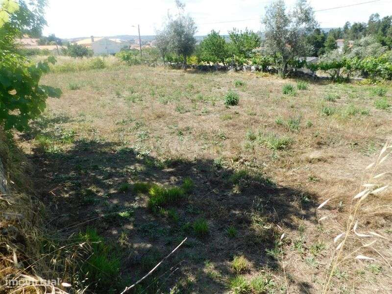 Terreno / Gouveia, Cativelos - Grande imagem: 4/13