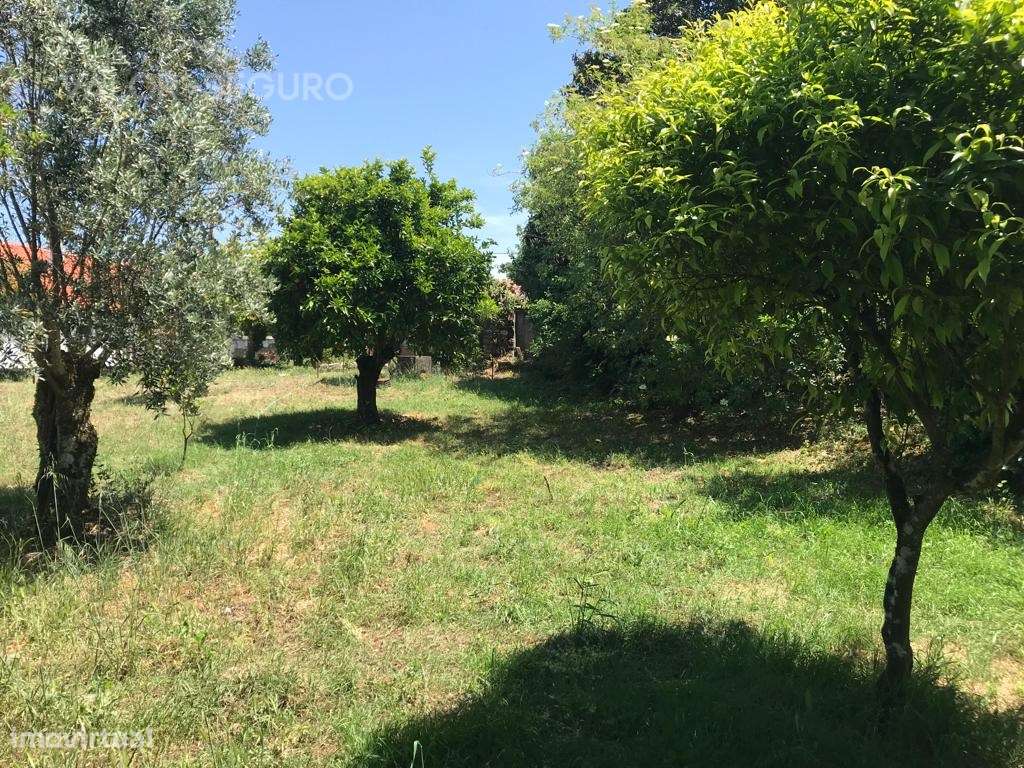 Casa rural para recuperação em Ansião-10