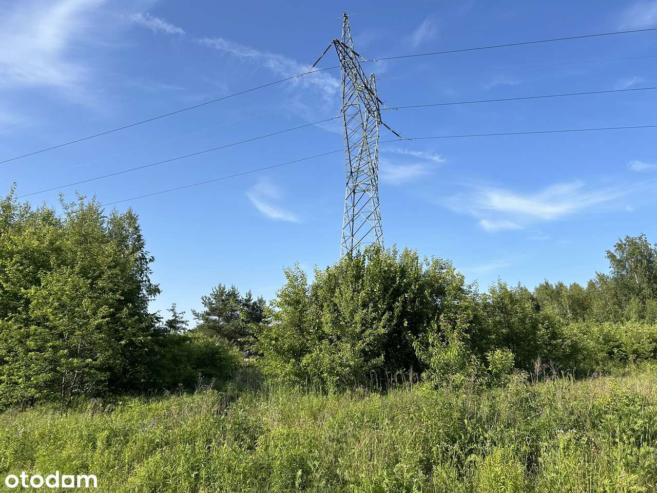 Działka 3800 m.kw. , ul. Serwituty-4