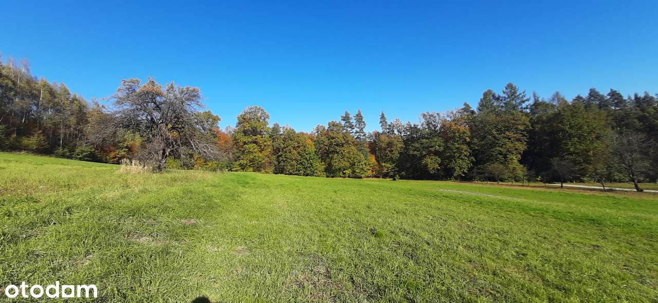 Działka w Izdebniku, dojazd, słońce-7