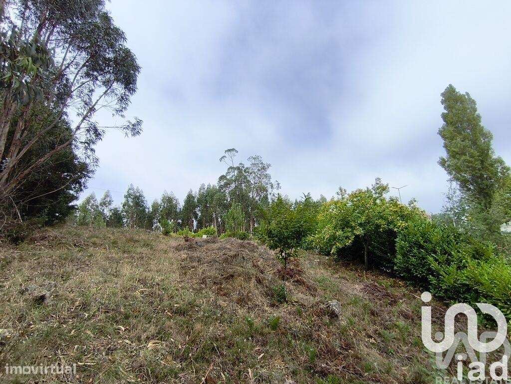 Terreno para construção em Semide e Rio Vide - Grande imagem: 5/24