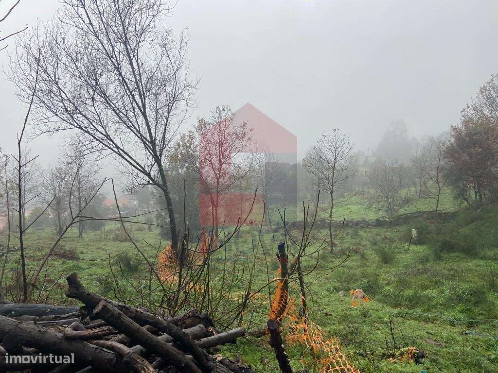 Terreno agrícola, Barros - Grande imagem: 3/14