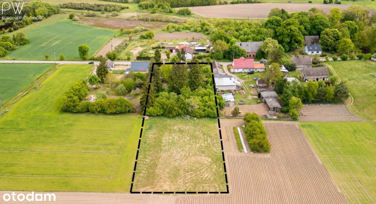 Okazja! Półhektarowa działka z budynkiem 1 km od j - Pełny obrazek: 4/18
