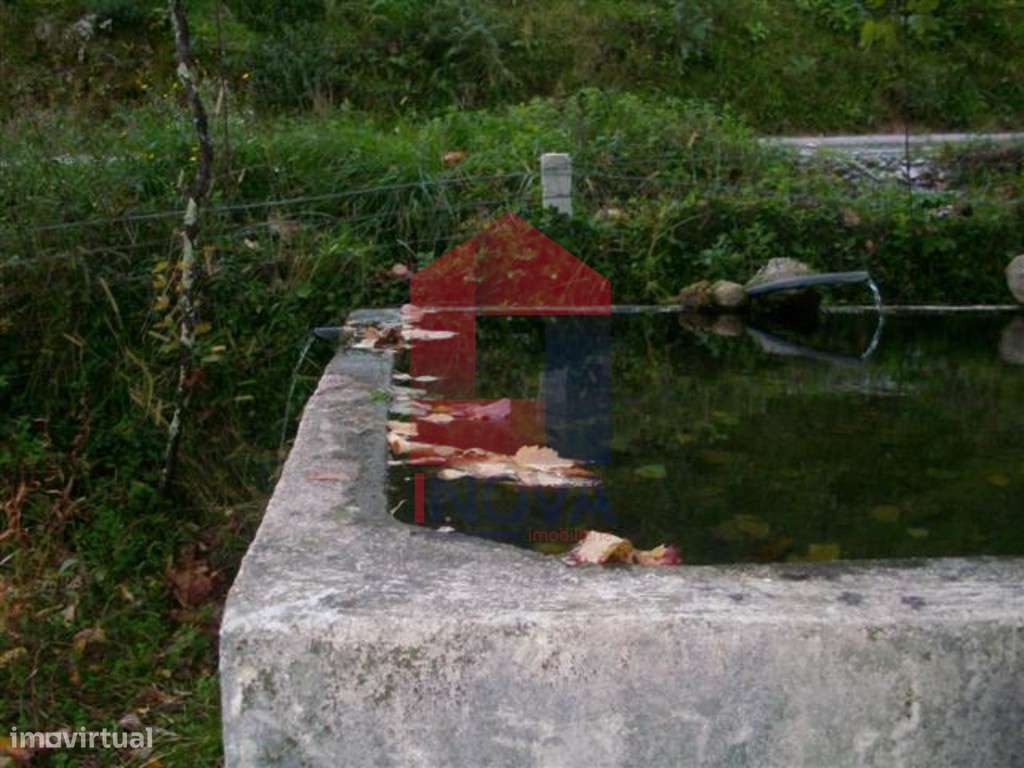 Terreno agrícola, Santiago Carreiras - Grande imagem: 4/7