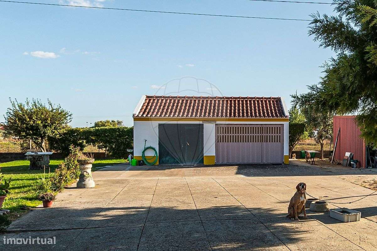 Quinta T3 para venda - Grande imagem: 4/49