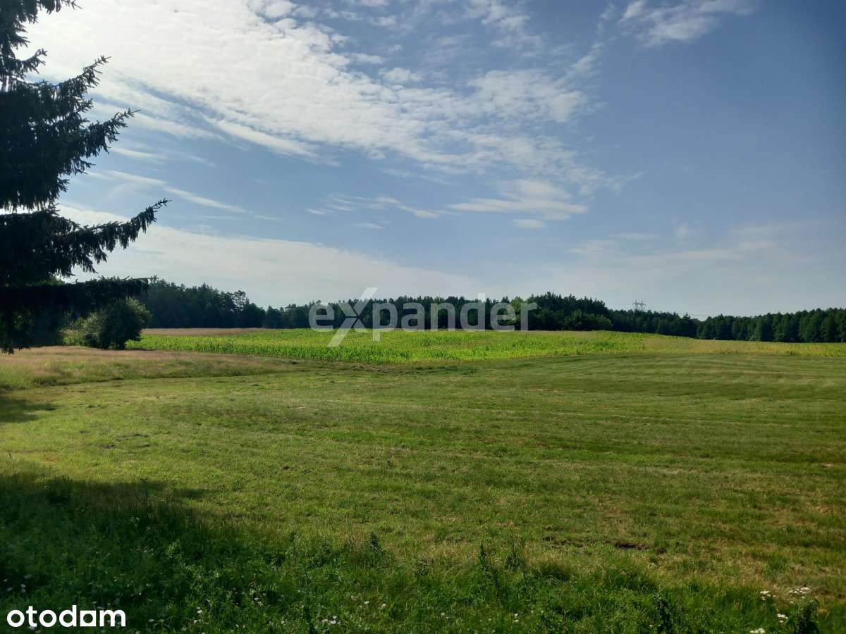 Kopalnia Kruszywa, żwirownia 37,2209 HA Z Koncesją - Pełny obrazek: 5/20