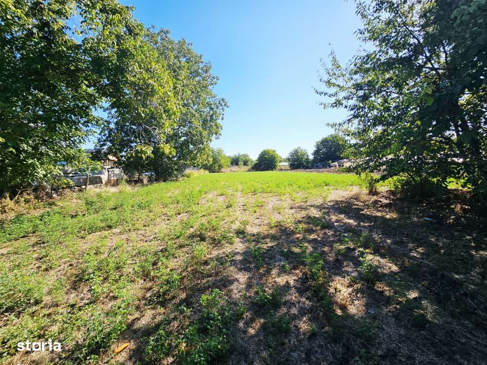 Teren intravilan 1.585 mp, cu utilități la hotar –Gherghița–Ungureni-0