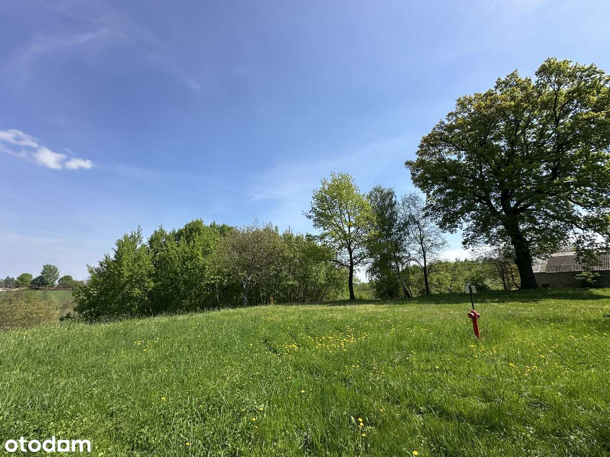 Duża piękna działka 10 km od Tarnowa - Zgłobice - Pełny obrazek: 4/10