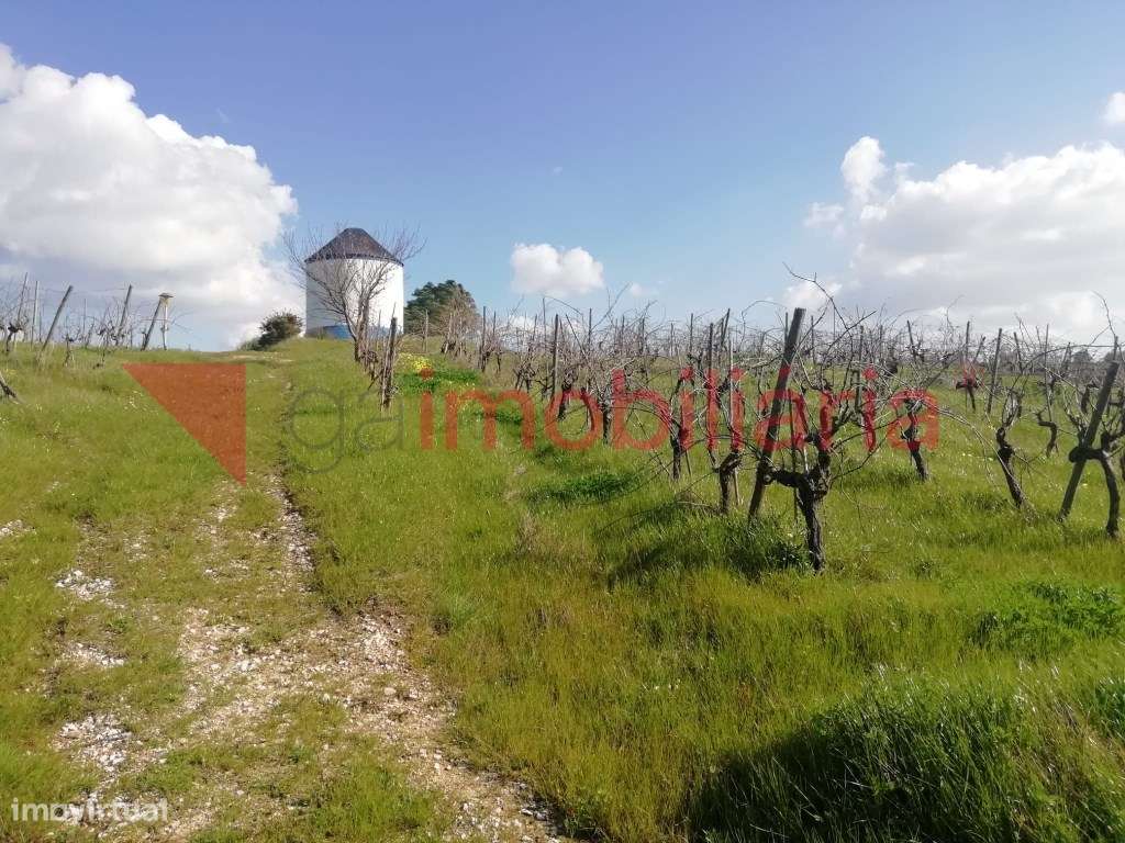 Terreno com Moinho-5