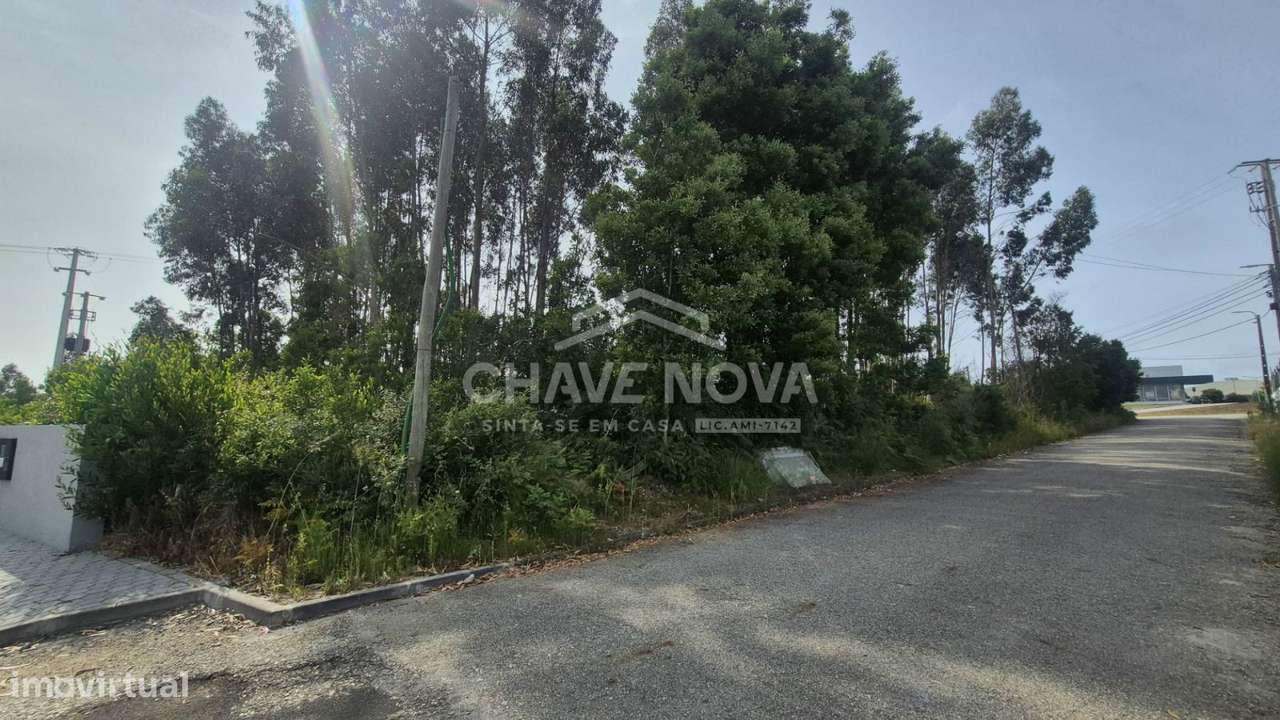 Terreno Industrial em Esmoriz - Grande imagem: 4/6