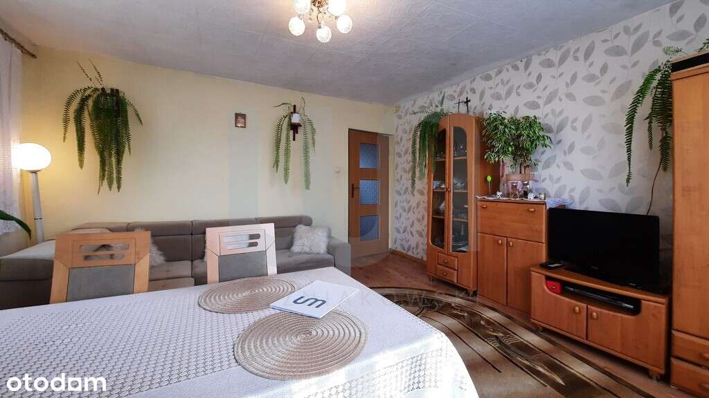 Wolnostojący / Dla rodziny / Do remontu - Pełny obrazek: 4/20