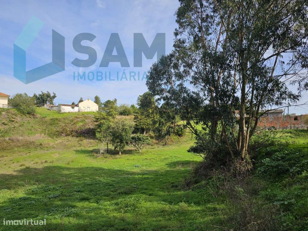 Terreno de 12.105 m2 com moradia Torres Vedras-37