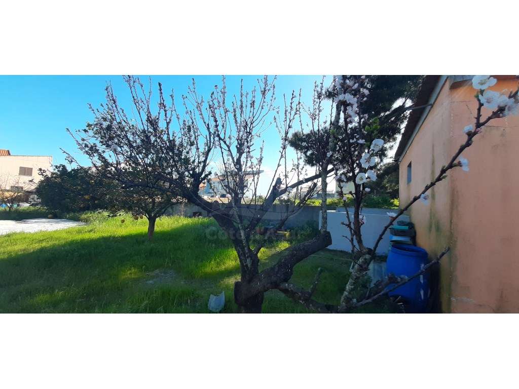 O Lugar Ideal para a Sua Futura Moradia no Pinhal do General-14
