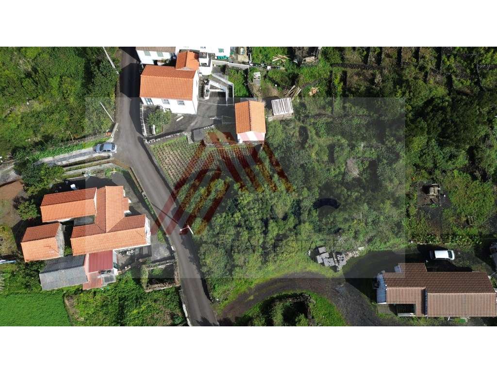 Terreno c/Viabilidade Construção, Candelária, Madalena Pico - Grande imagem: 3/11