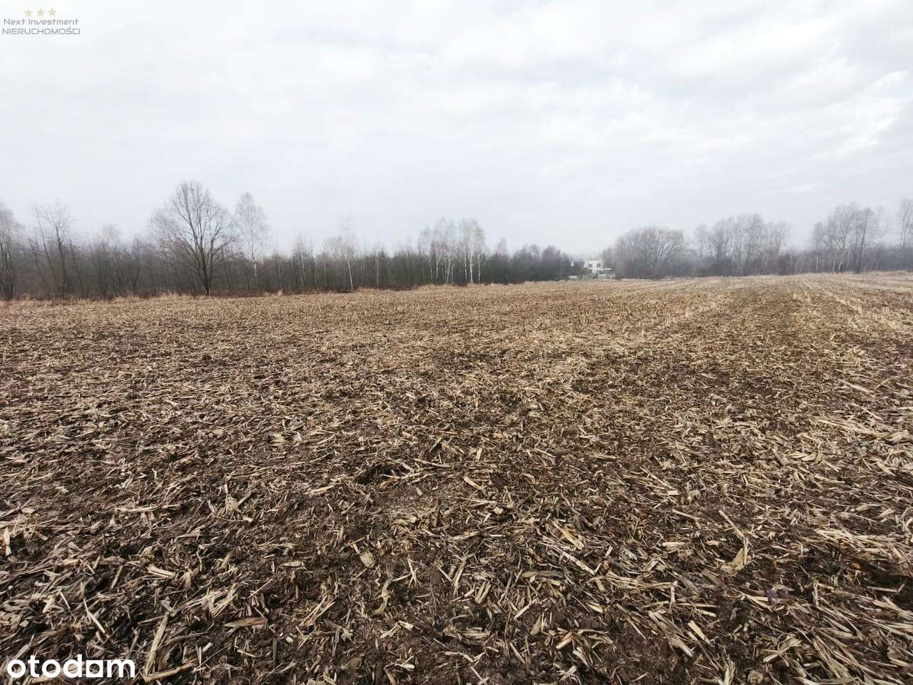 Dwie działki w kolejnej linii zabudowy Dzierżno-8