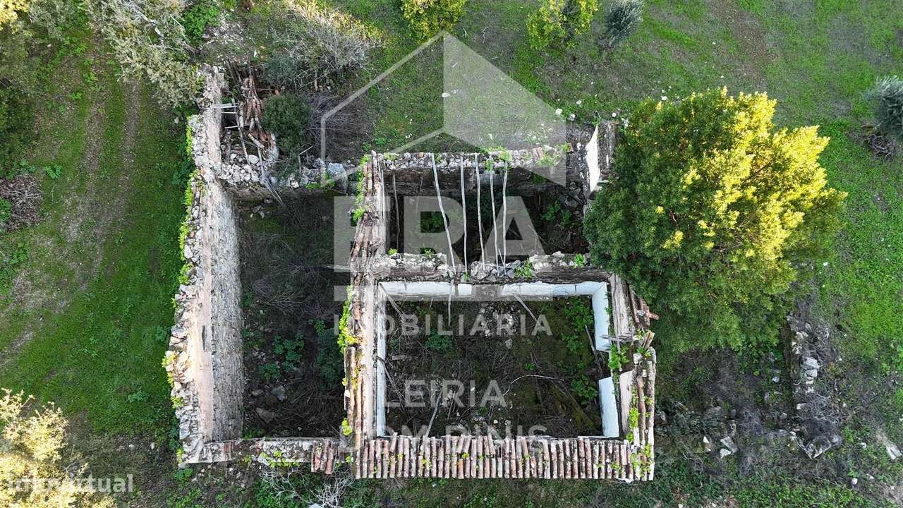Moradia T3 isolada com grande terreno em Ferreira do Zêzere - Grande imagem: 4/13