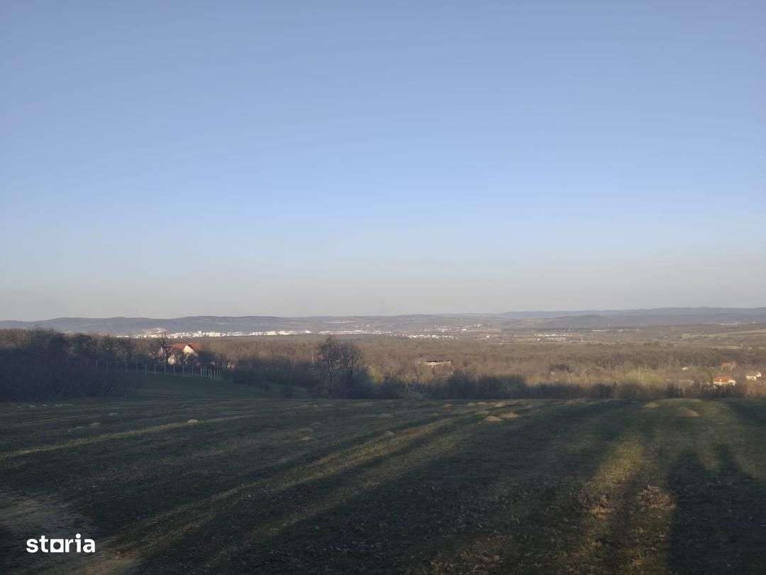 Teren extravilan Rasinari, zona Tropinii Noi - Imagine principală: 2/3