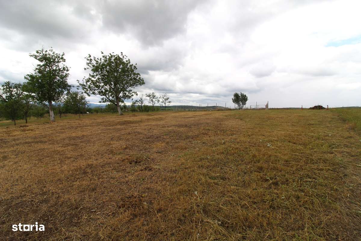 Vând teren intravilan 900mp, în Cristur (7 km de Deva) - Imagine principală: 3/6