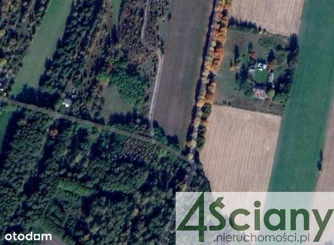 Działka w pobliżu Puszczy Mariańskiej Bez Prowizji - Pełny obrazek: 4/4