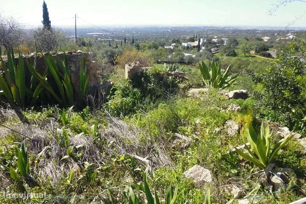 Land of 5622,40m2 with registered construction  and stunning views ove - Grande imagem: 2/9