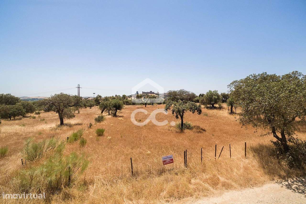 Terreno de 8000m2 junto à Barragem de Lucefécit | Terena (Alandroal) - Grande imagem: 5/13