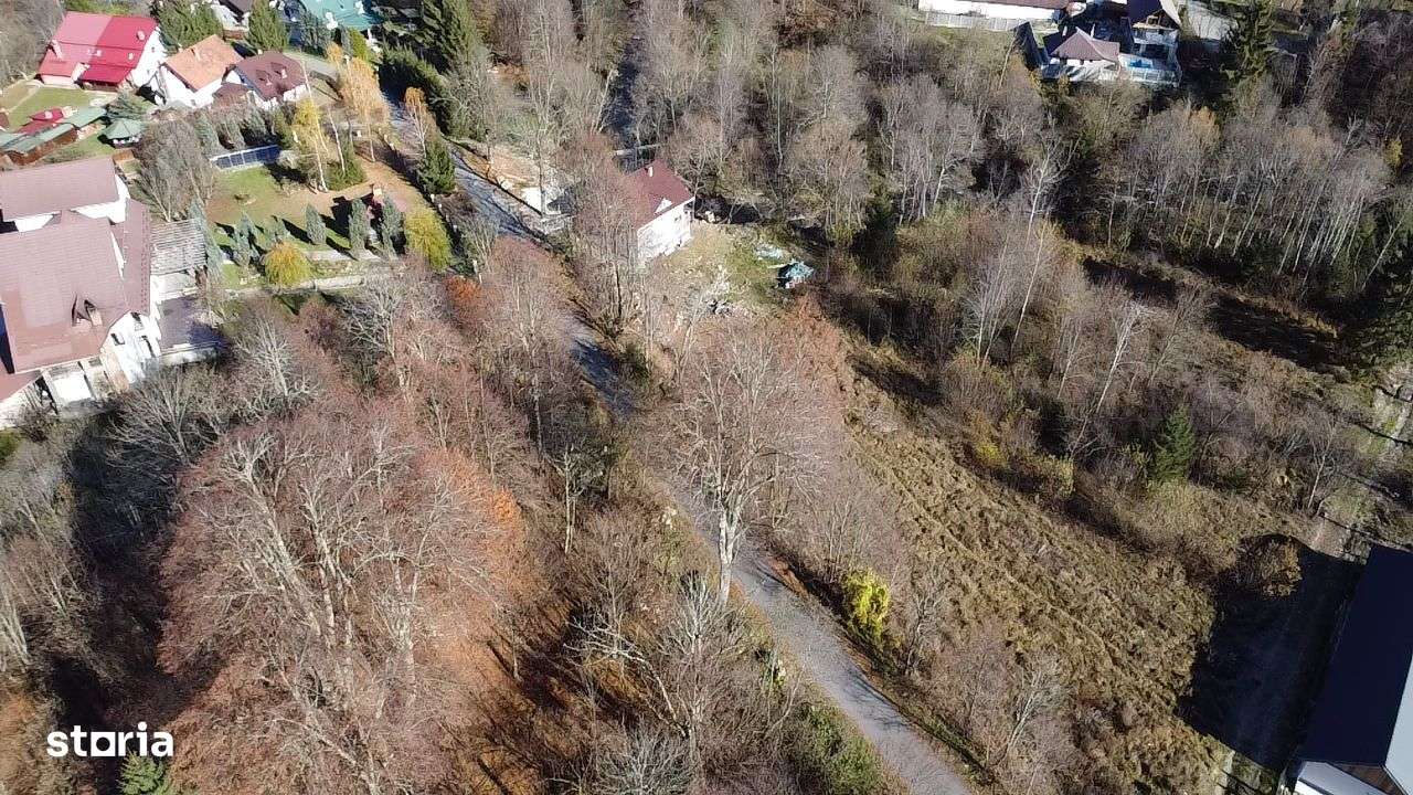 Teren de vânzare 3600 mp Poiana Mărului Caraș-Severin ( cu potențial ) - Imagine principală: 4/5