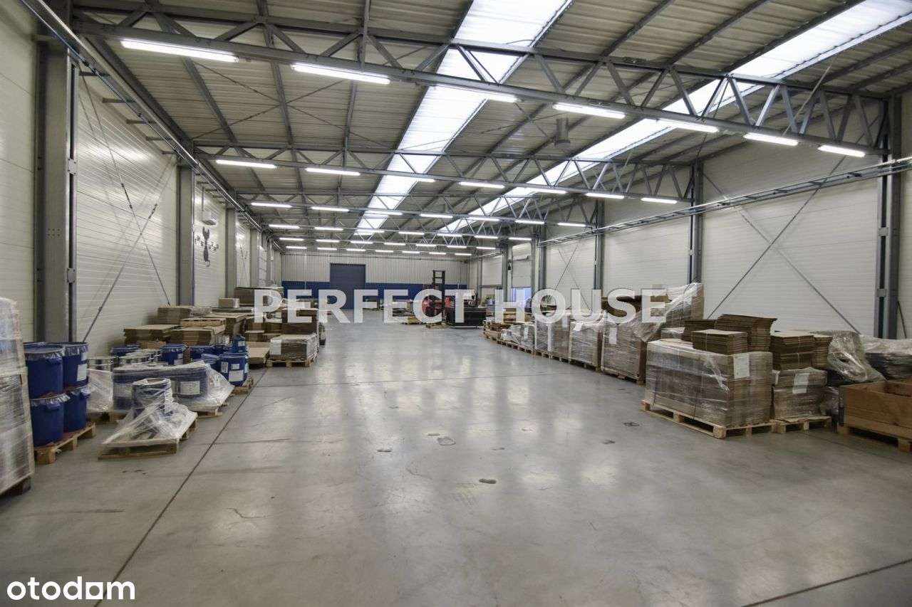 Obiekt magazynowo-produkcyjny w Niepruszewie - Pełny obrazek: 5/15