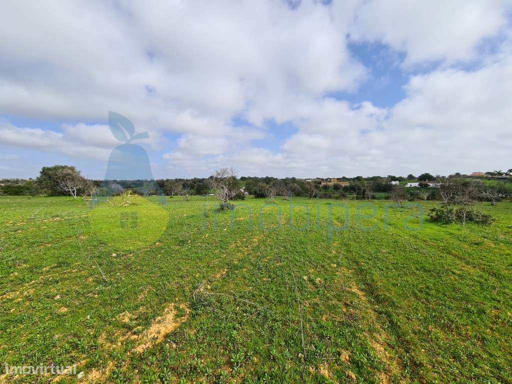 Terreno rústico com 14550 m2 em Albufeira, com boa exposição solar.... - Grande imagem: 3/8
