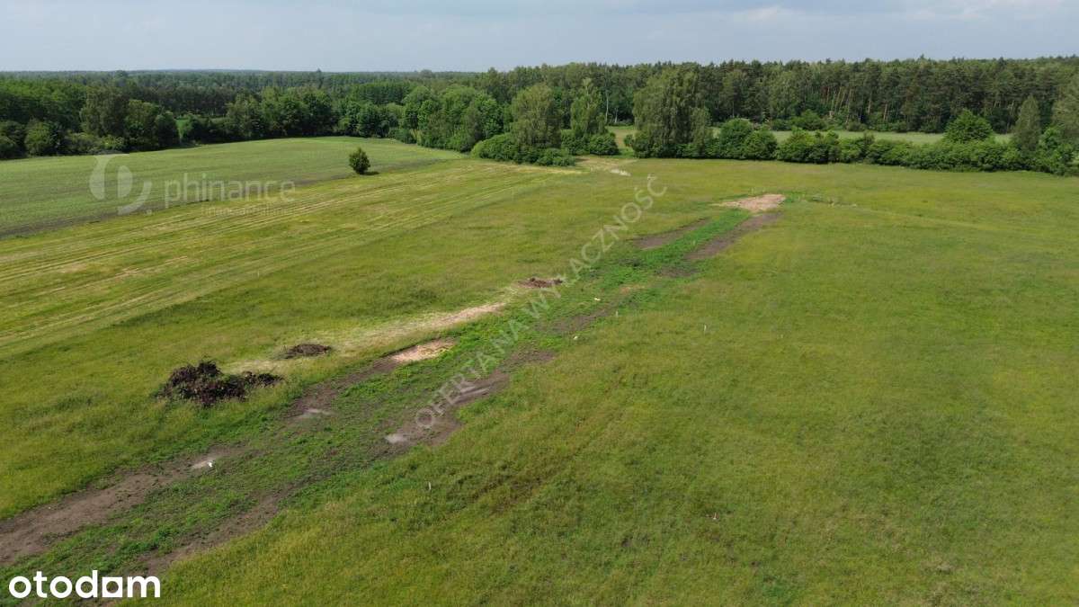 działka 12a, Naprusewo, gm. Ostrowite - Pełny obrazek: 4/4