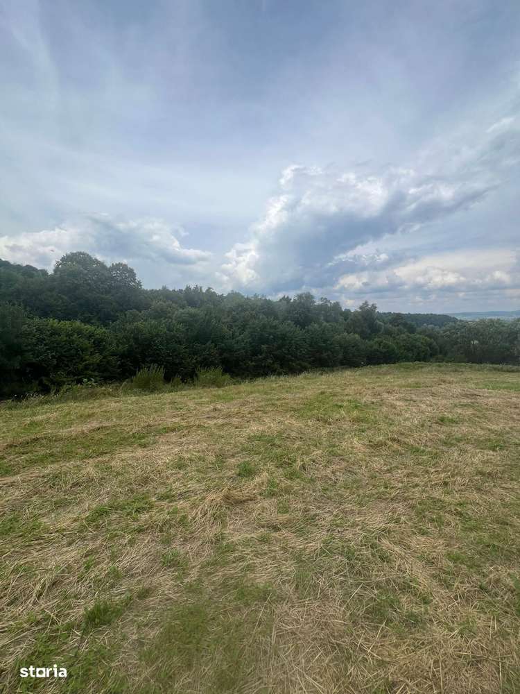 Teren între Tălmaciu și Racoviță – 25.000 mp în mijlocul naturii! - Imagine principală: 3/5