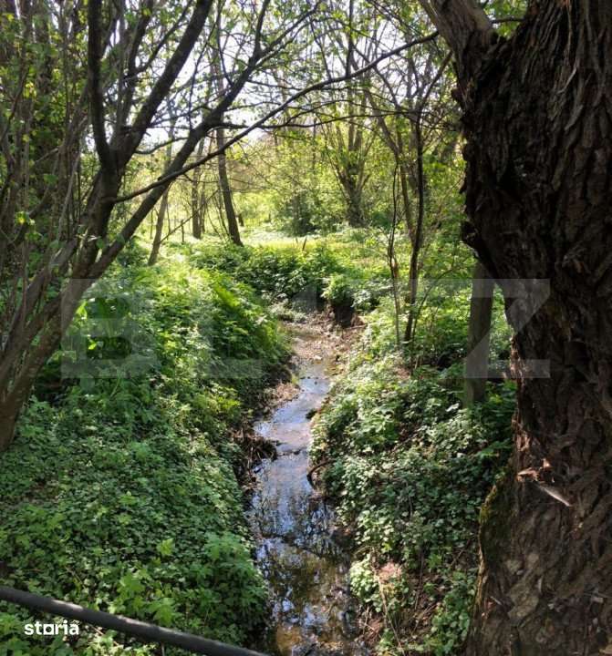 Rate la proprietar Casa individuala 75 mp, teren 1600mp , Viforata - Imagine principală: 2/13