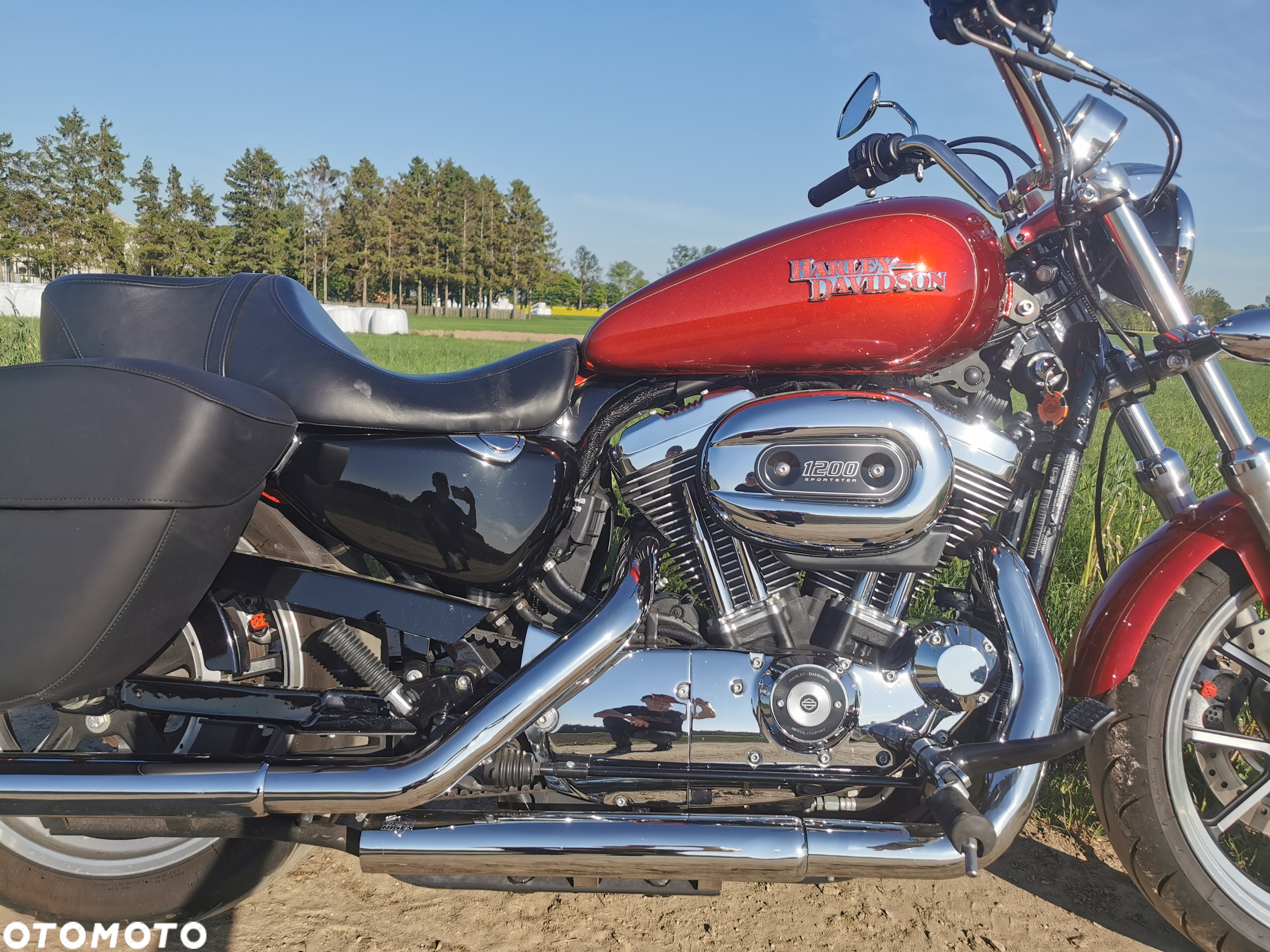 Harley-Davidson Sportster Custom 1200C - 6