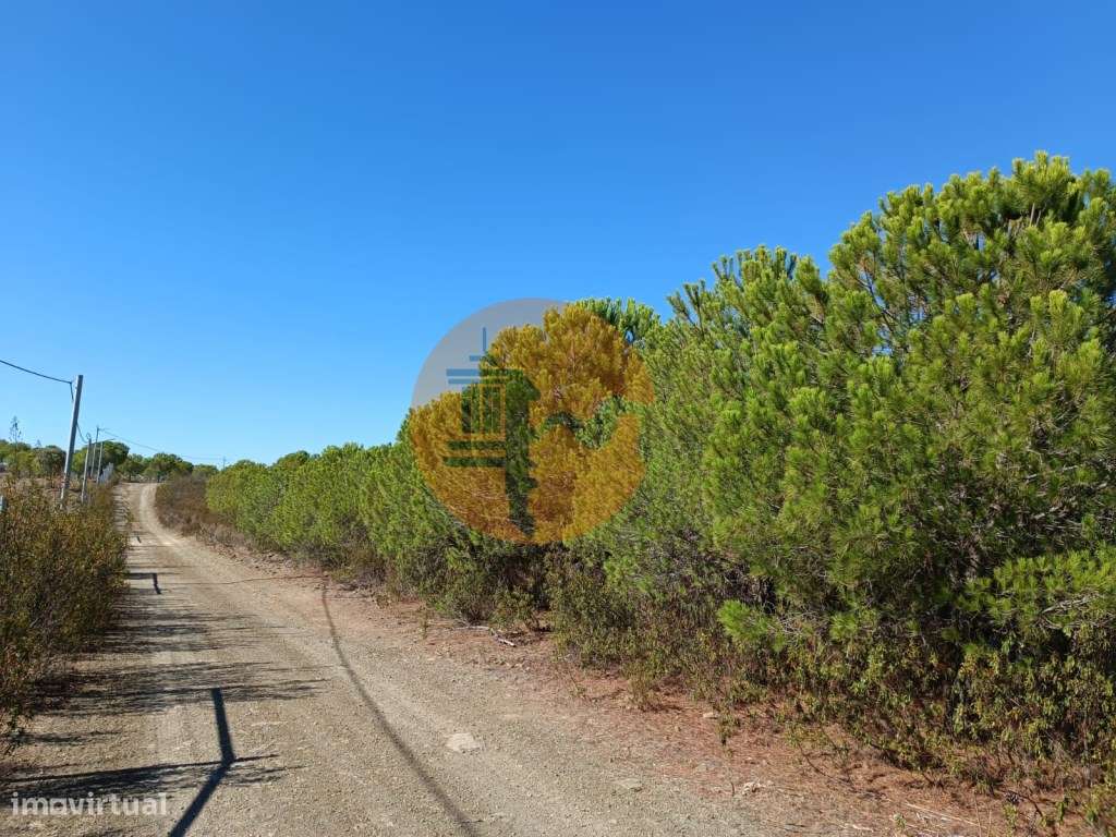 TERRENO COM 137.480 M2 - POSSIBILIDADE DE CONSTRUÇÃO RESIDENCIAL E ... - Grande imagem: 5/42