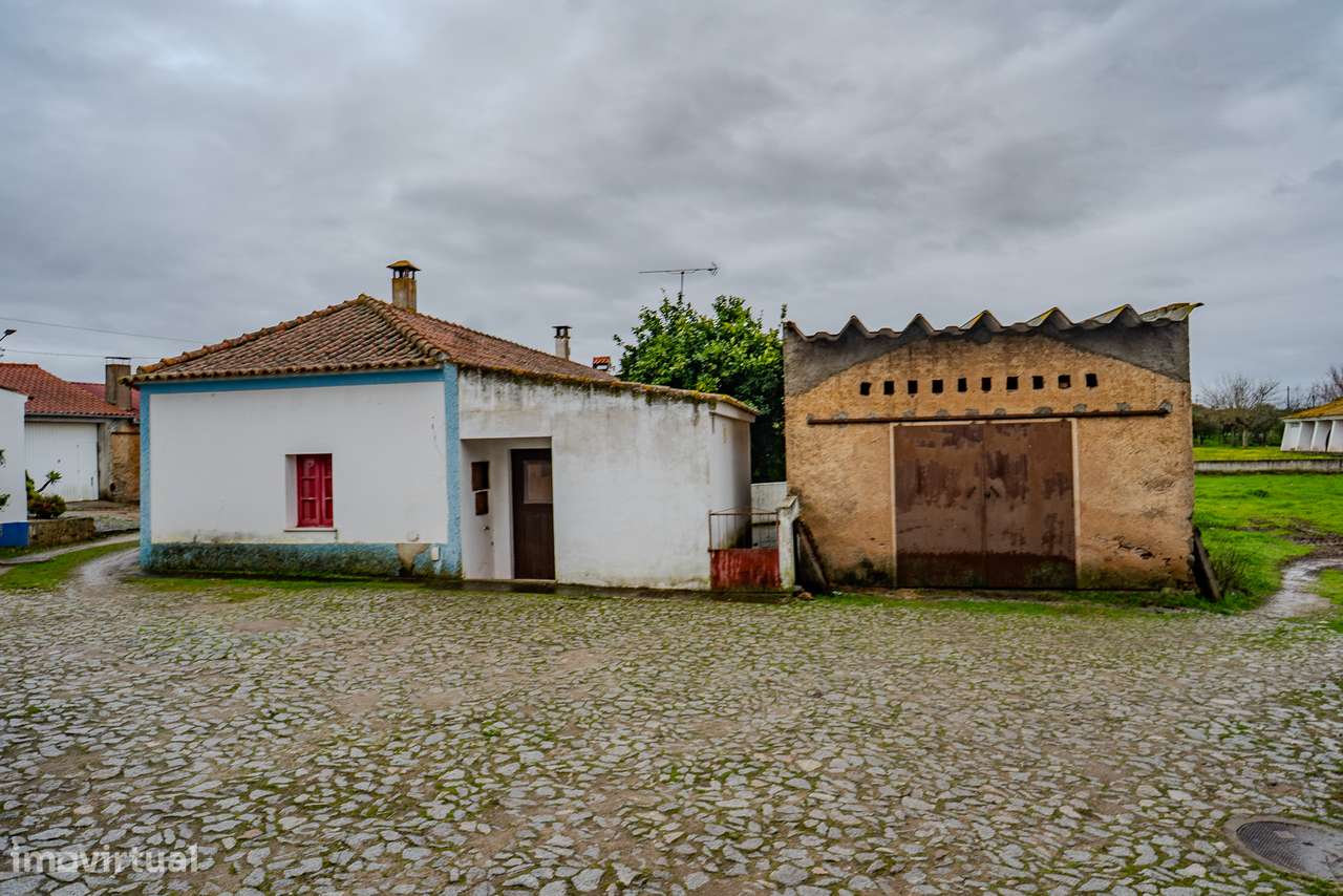 CASA COM QUINTAL | PARA VENDA | FALCOEIRAS-28