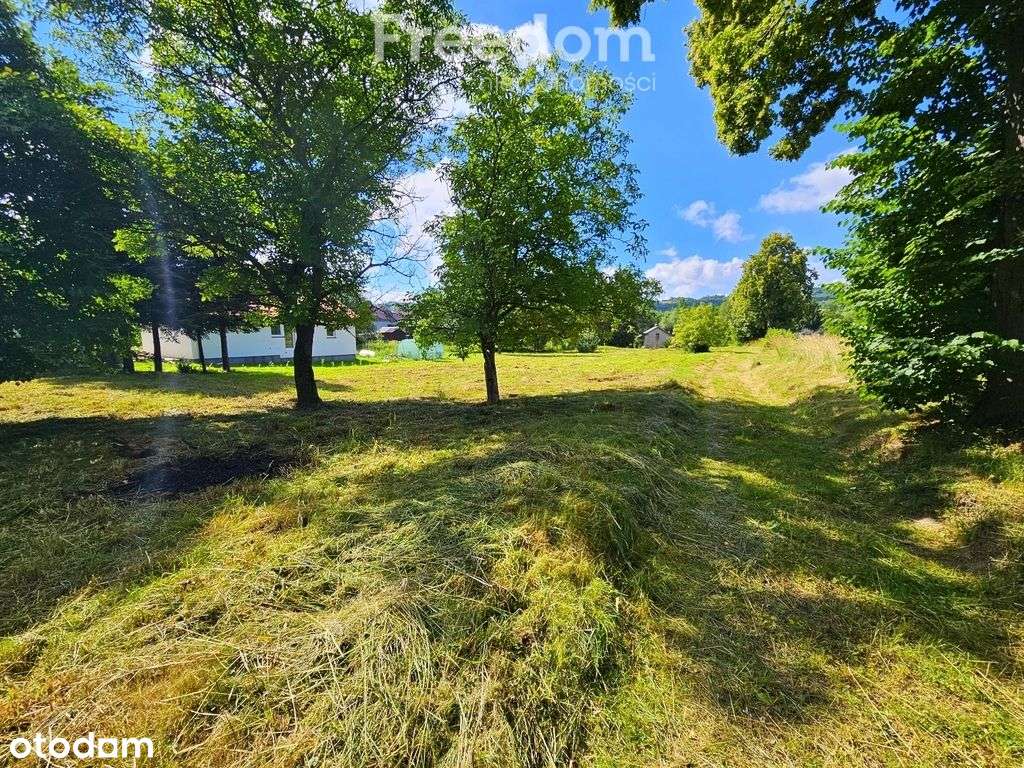 Działka 50ar z potencjałem pod dom lub usługi - Pełny obrazek: 5/8