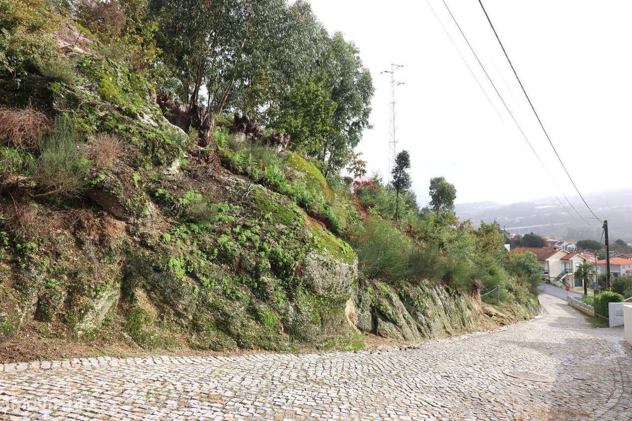 Terreno rústico com 7.028 m2 em Tagilde, Vizela. - Grande imagem: 2/4