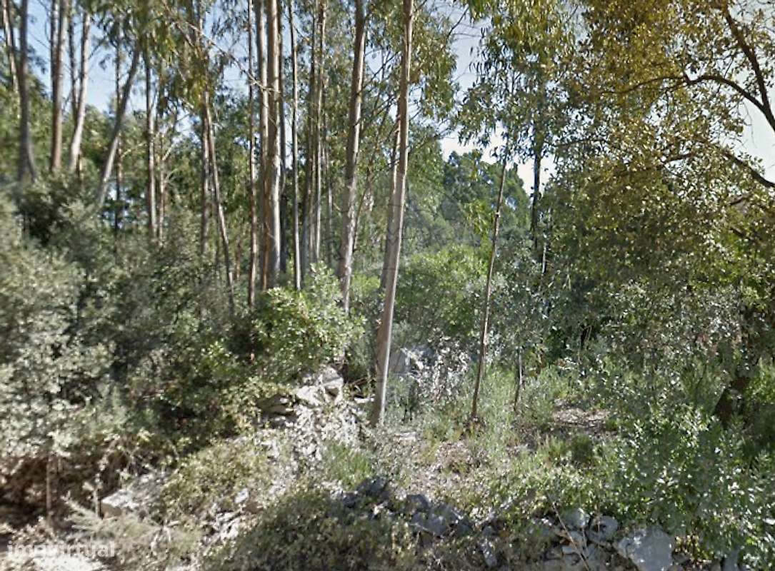 Terreno  para venda - Grande imagem: 5/16